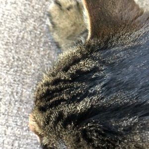 Meet your Posher, Diane